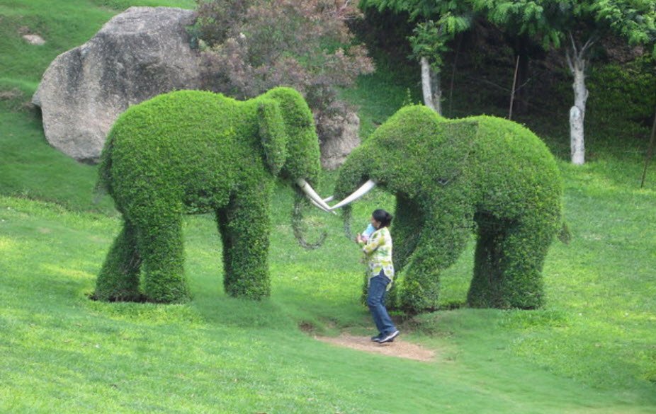 Shri Kotla Vijaybhaskar Reddy Botanical Garden, Hyderabad, Telangana, India